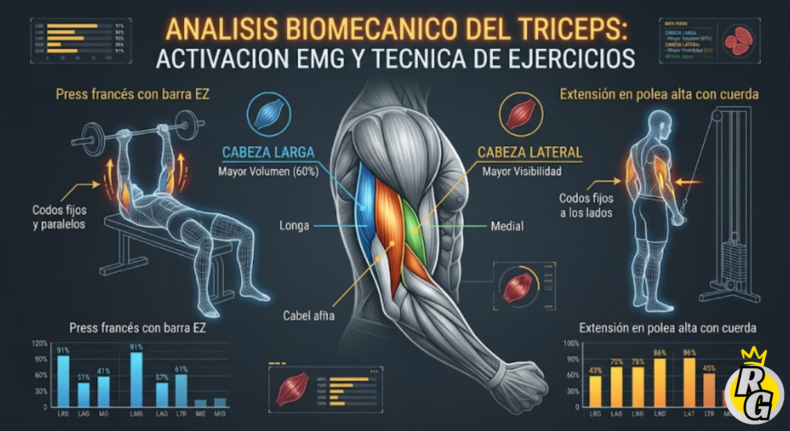 Ejercicios de tríceps en el gym — Técnica y EMG